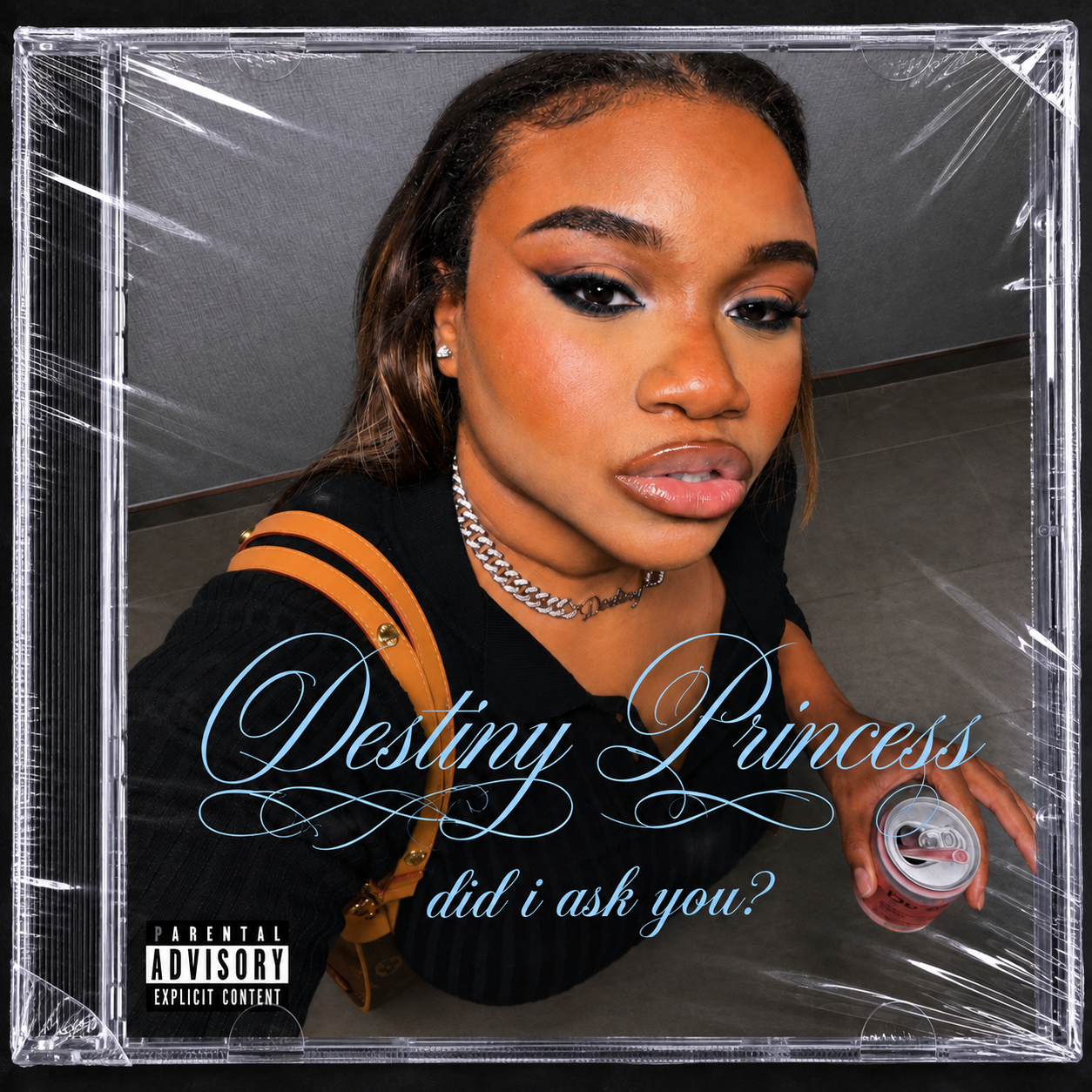 Destiny Princess — did i ask you? album cover